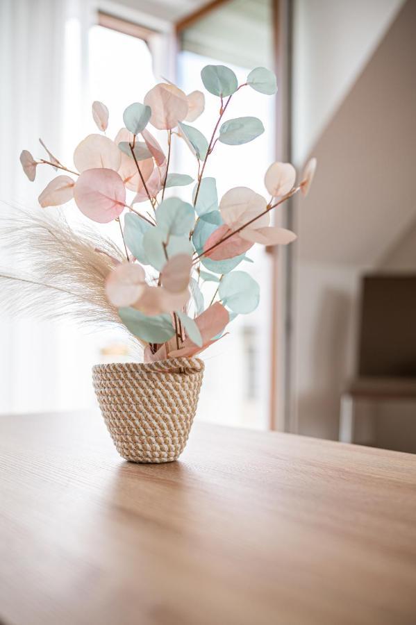 Roze Blue Design Apartments Csopak Dış mekan fotoğraf